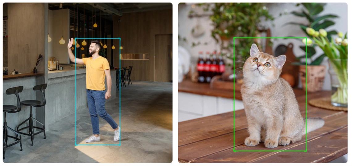 دوربین دوال 5 مگ داهوا دارای تشخیص انسان و حیوانه